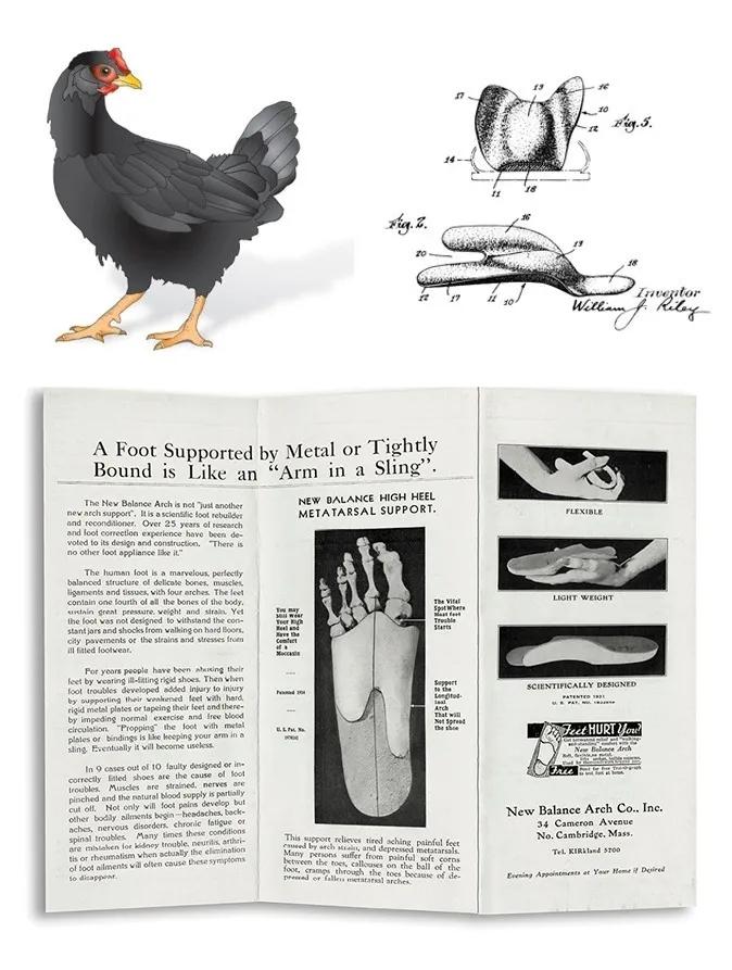 新百伦运动鞋是软底吗,新百伦是什么类型的鞋