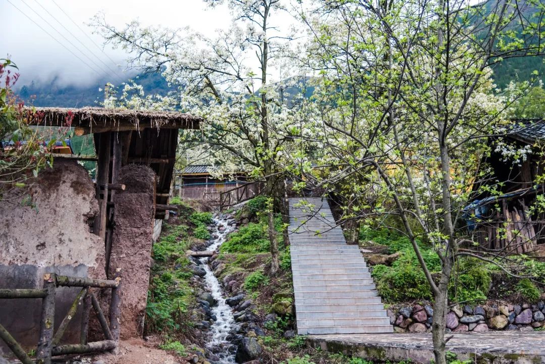 红了！黑竹沟迎来颜值巅峰，分分钟带你穿越五彩童话世界