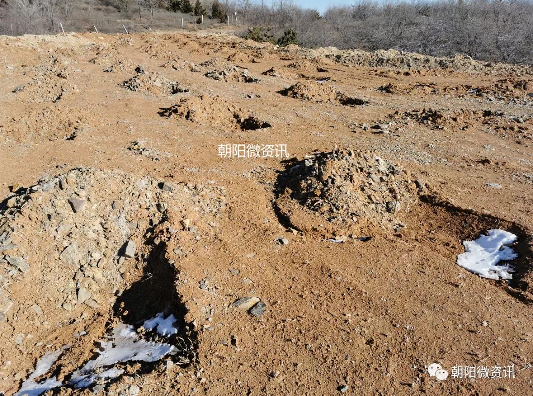 朝阳轮胎工厂生产视频,朝阳工厂轮胎