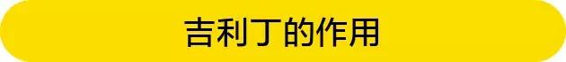 吉利丁知识,吉利丁的几种形态