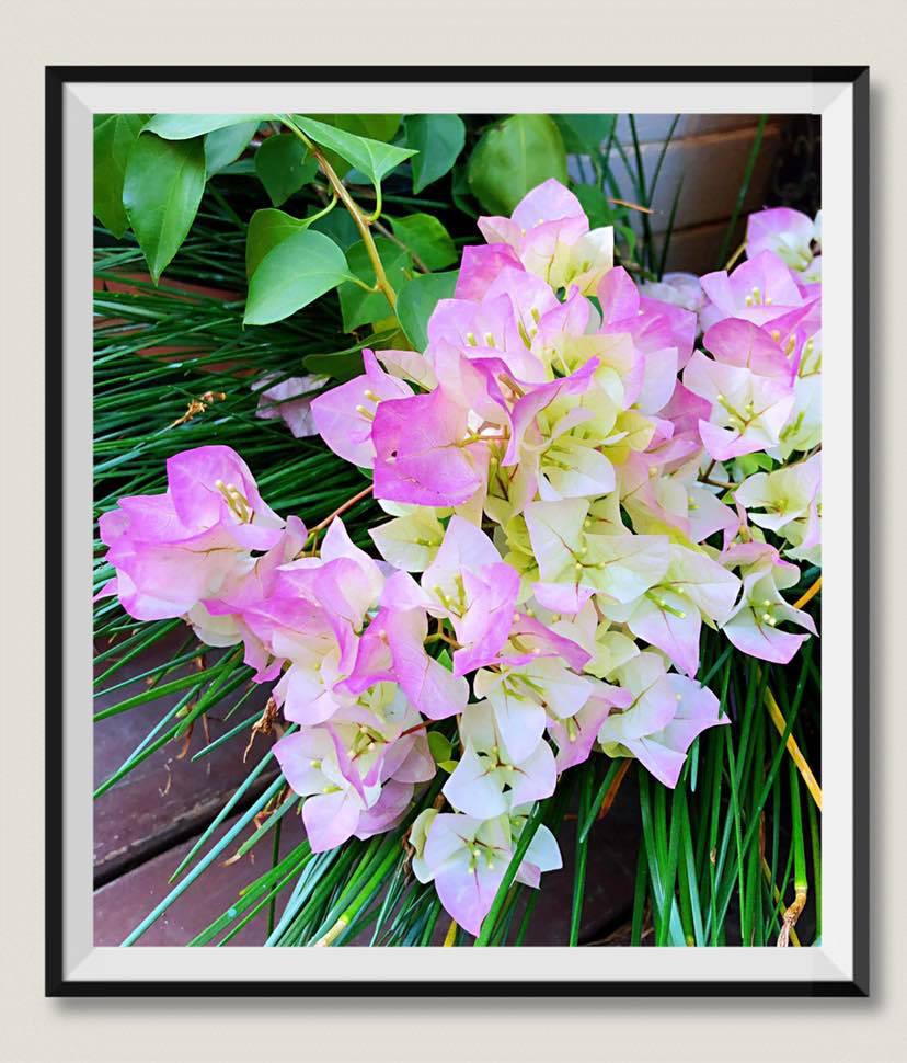 觅友故事|上帝赐我一个儿子，赠我一颗肿瘤