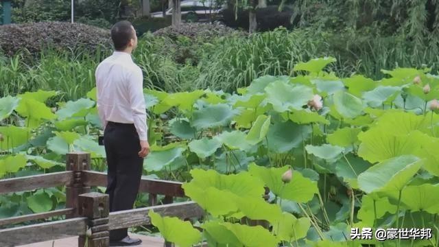 房地产转行做餐饮,房产人转行创业成功了吗