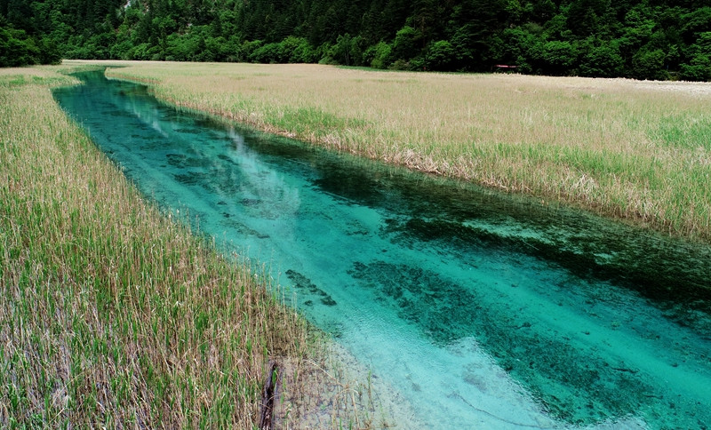 九寨沟门票预约攻略最新版,散客九寨沟景区怎么玩