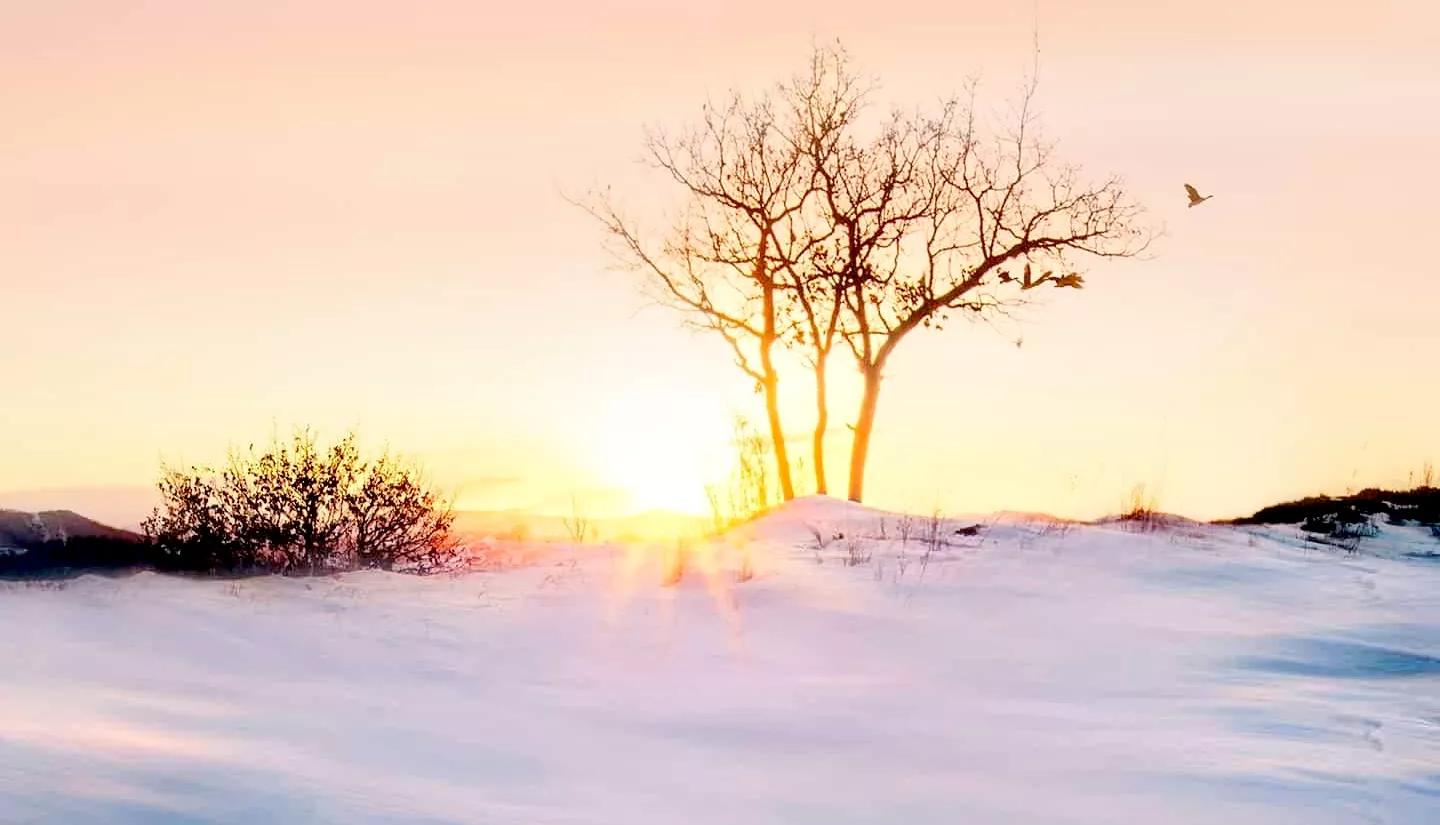 寒冬里的一抹温暖散文,这个冬天有你真温暖散文