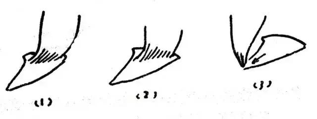 超简单的书法入门全解,令人惊艳的百年书法教程