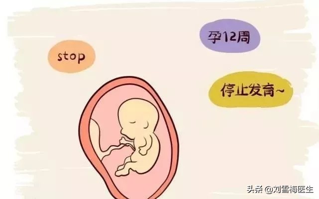 怀孕五周突然反应消失一定是胎停,双胞胎如果一个突然胎停了怎么办