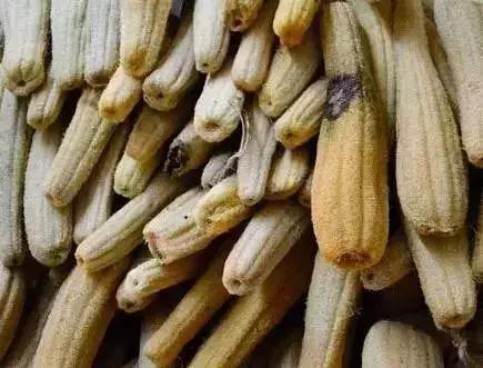 安徽农村老物件一代人的回忆,安徽农民收藏老物件诉说浓浓乡愁