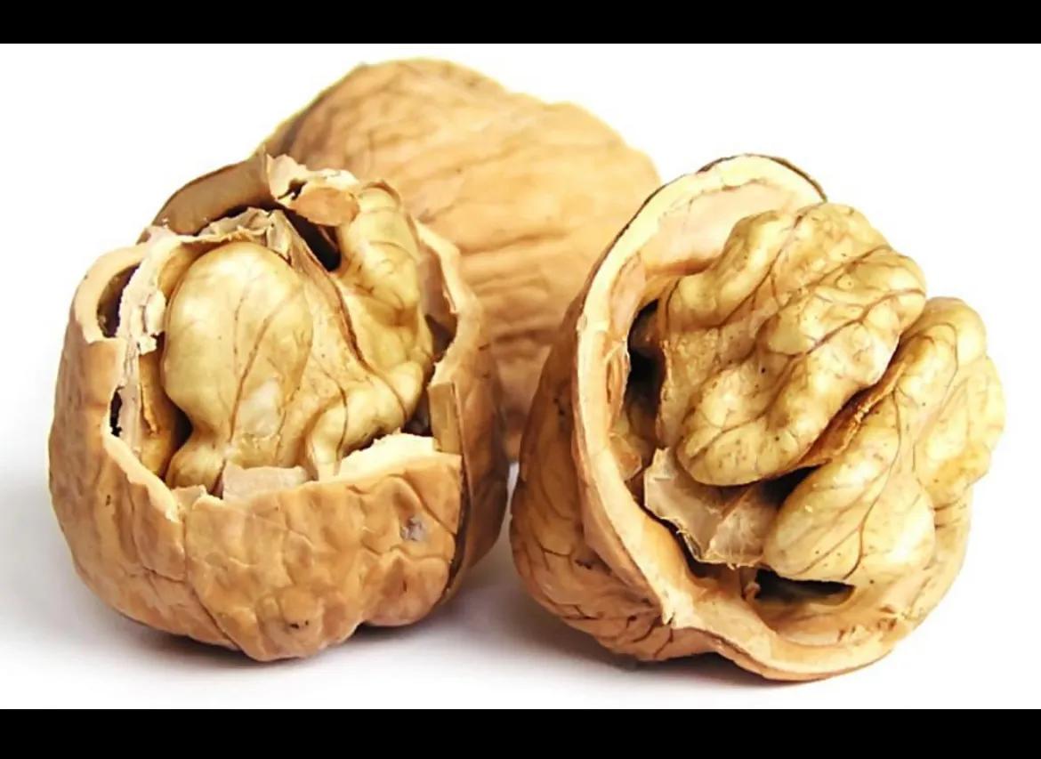 在神经学专家眼里，什么才是最好的大脑健康零食