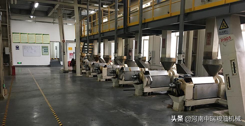 投资榨油厂都需要什么设备,投资一个小型榨油厂需要多少钱