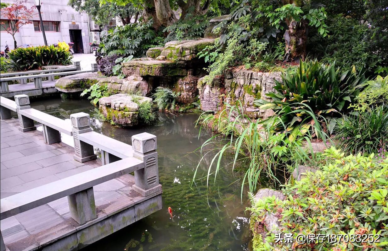 上海黄浦公园潮汐表下载,上海黄浦公园