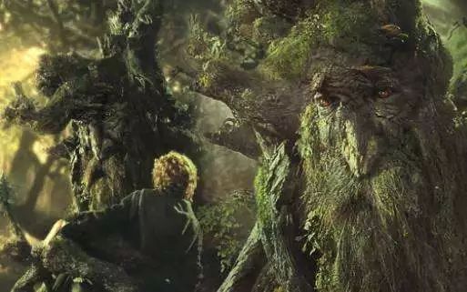 8千字，全面深入《指环王》三部曲