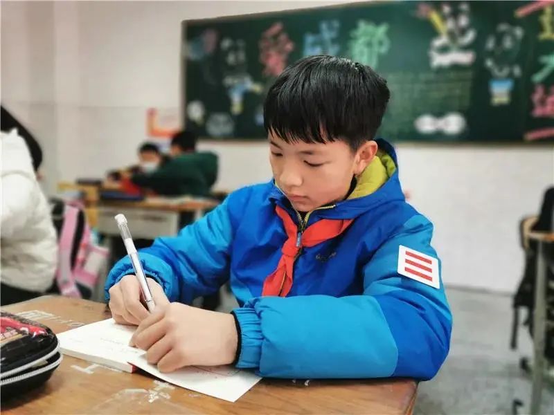 成华区石室小学,成都万象城石室小学划片区