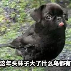 那些没甩脸上的姨妈巾被偷偷的塞进了男生的那里？