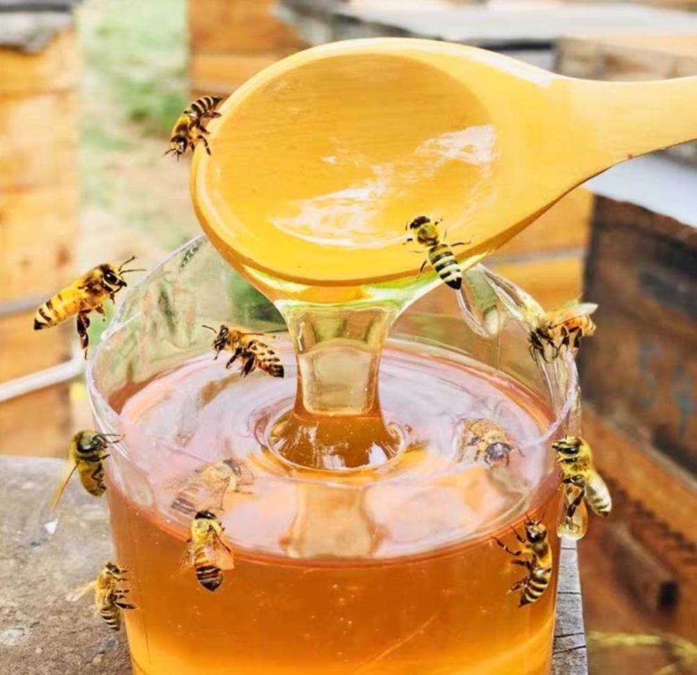 最土的是它，最甜的也是它｜董峰蜂蜜