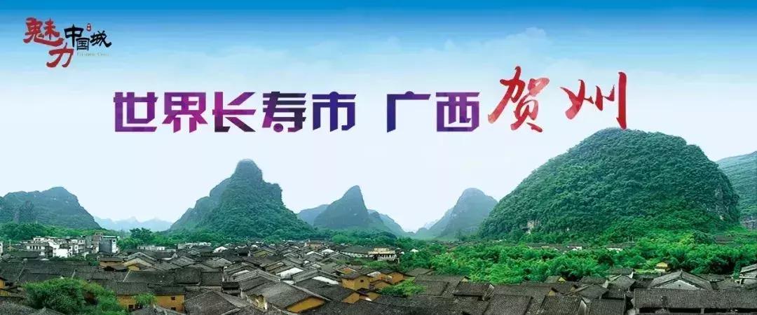 人大代表会后感言怎么写,被评为优秀人大代表的感言