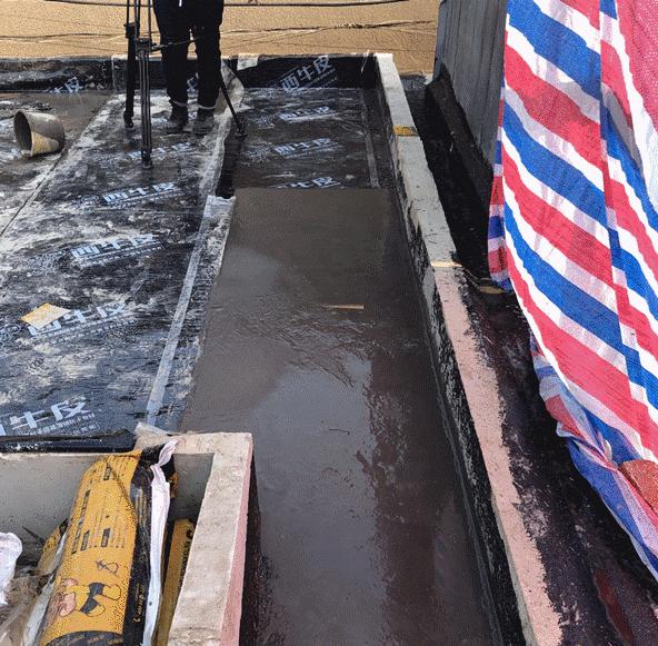 忘不了的家丨绿城房屋4S携手本间贵史,守护阿尔茨海默症家庭