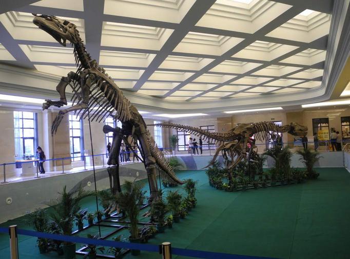 山东值得去的旅游景点,山东景区排名必游景区前十名