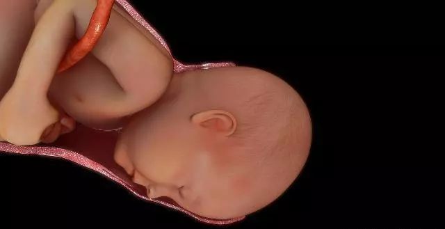 婴儿怎么从产道出生的,如何告诉孩子是从产道生出来的