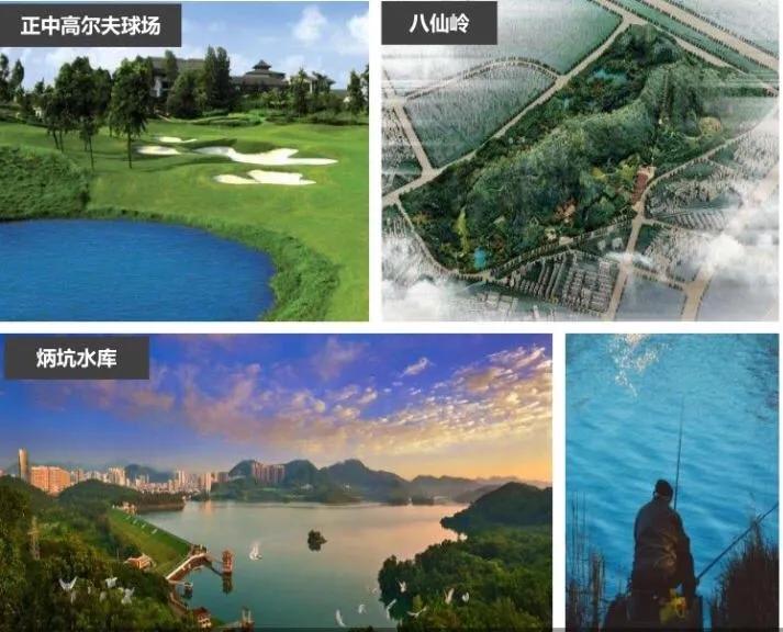 对标南山科技园,宝龙科技城和坪山中心区哪个好