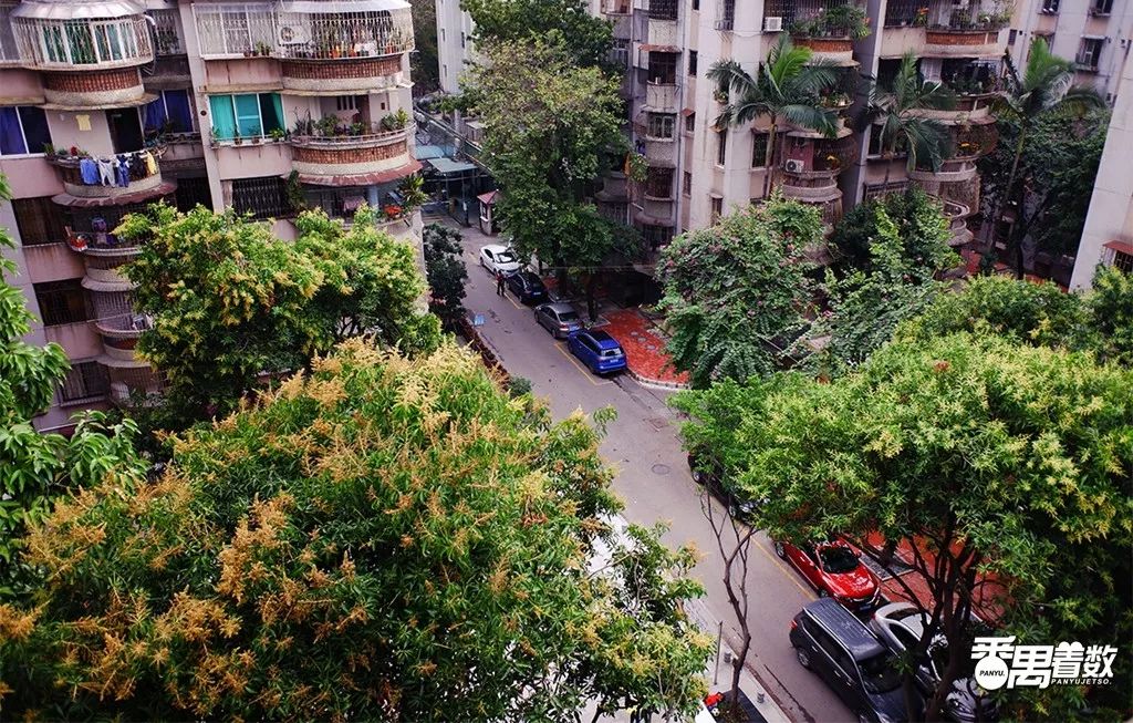 住在番禺的人的感受,在番禺住哪里比较好