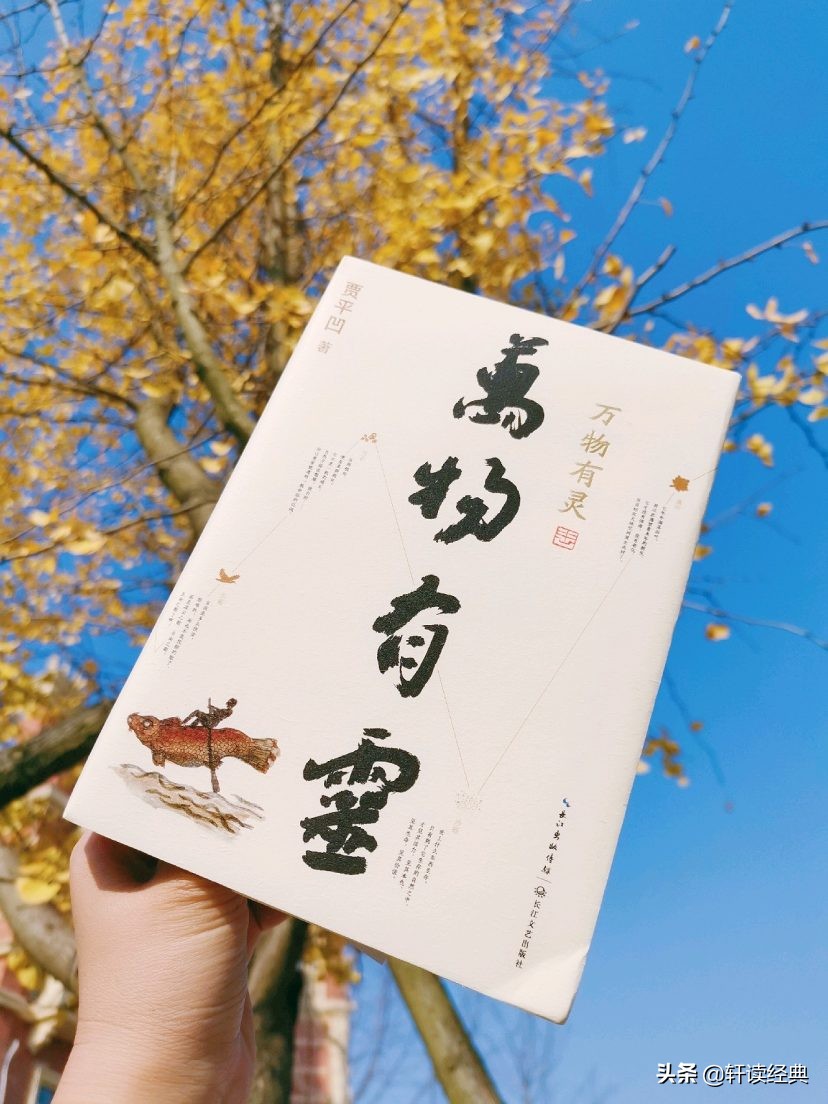 2019必读的5本书,在迷茫的时候可以看什么书