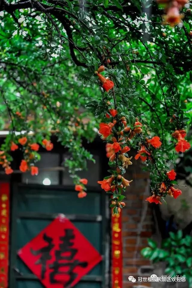 世界旅游日5月19日优惠,冠世榴园免费景点