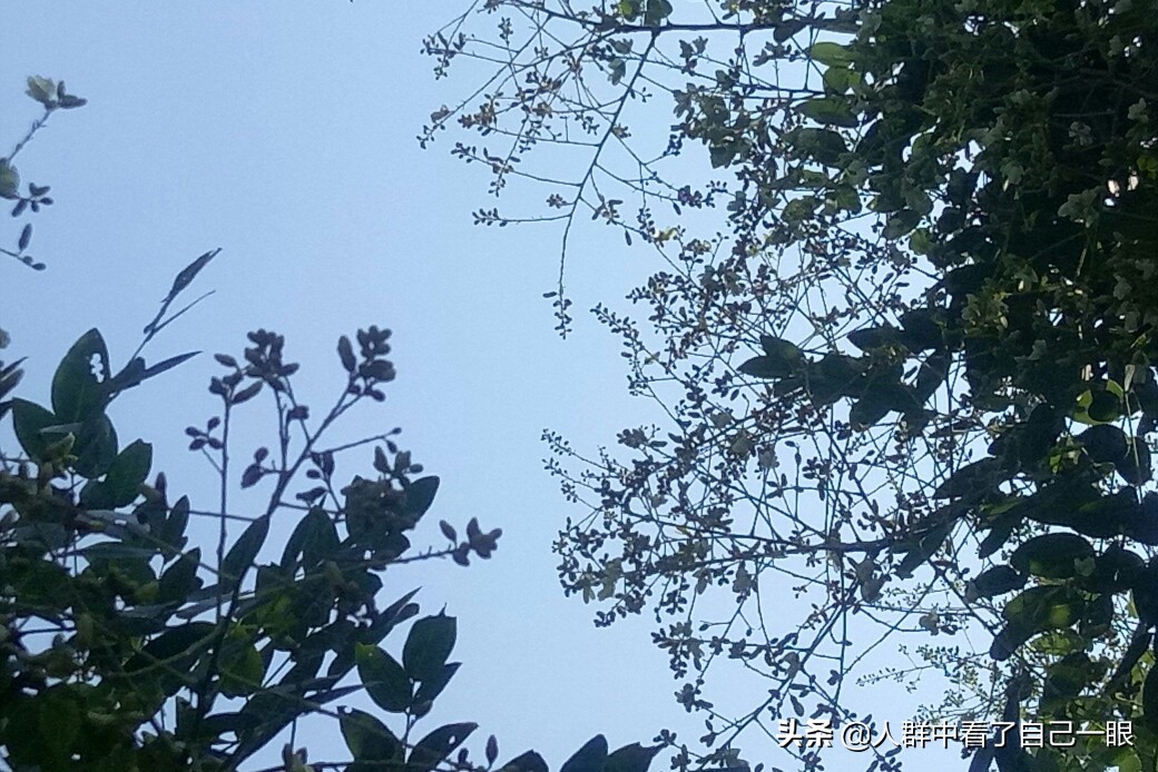 裆部事件——2008.12.16