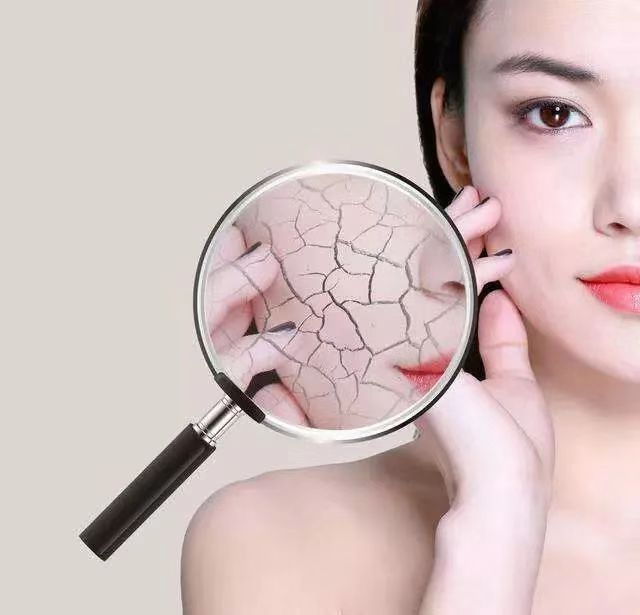 绵羊油是绵羊什么地方的油,绵羊油和绵羊脂的区别