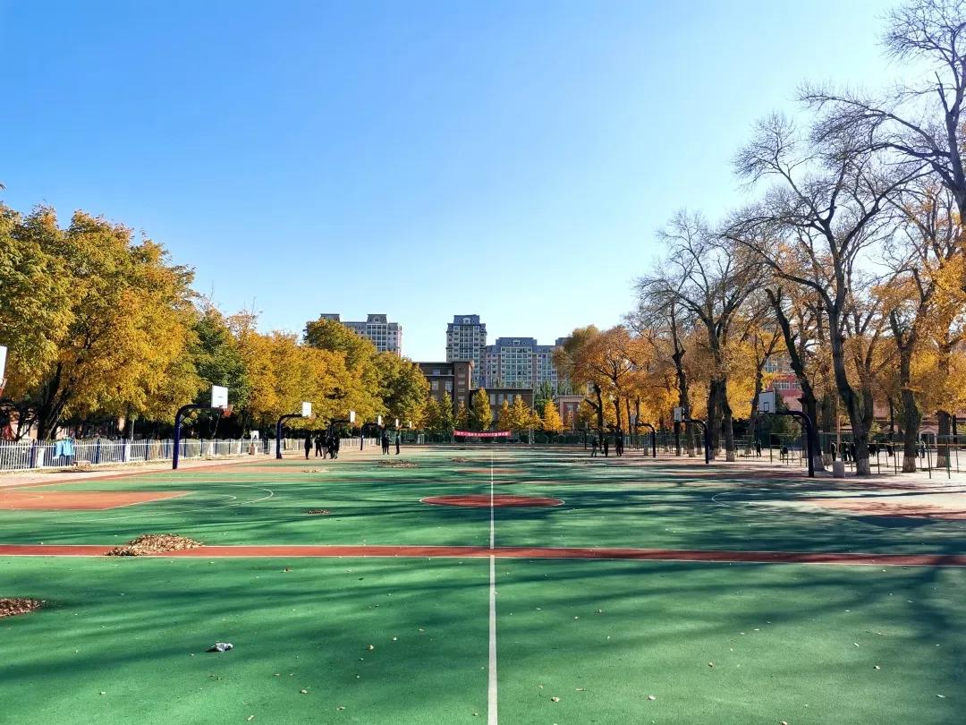 辽宁工程技术大学辽宁省分数线,辽宁工程技术大学在辽宁省排名