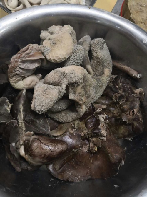 众志成城战疫情爱心捐款显真情,众志成城战疫情凝聚力量守家园