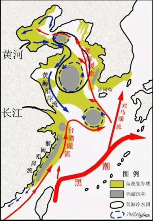 浙江的海水为什么那么浑浊,浙江沿海水为什么是黄的