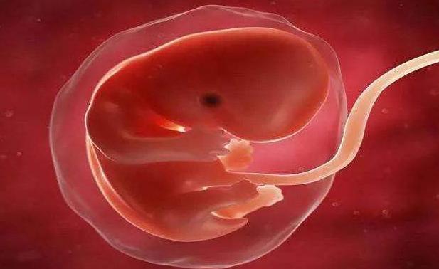 别以为怀孕了你就很重要,以为怀孕其实不是的症状