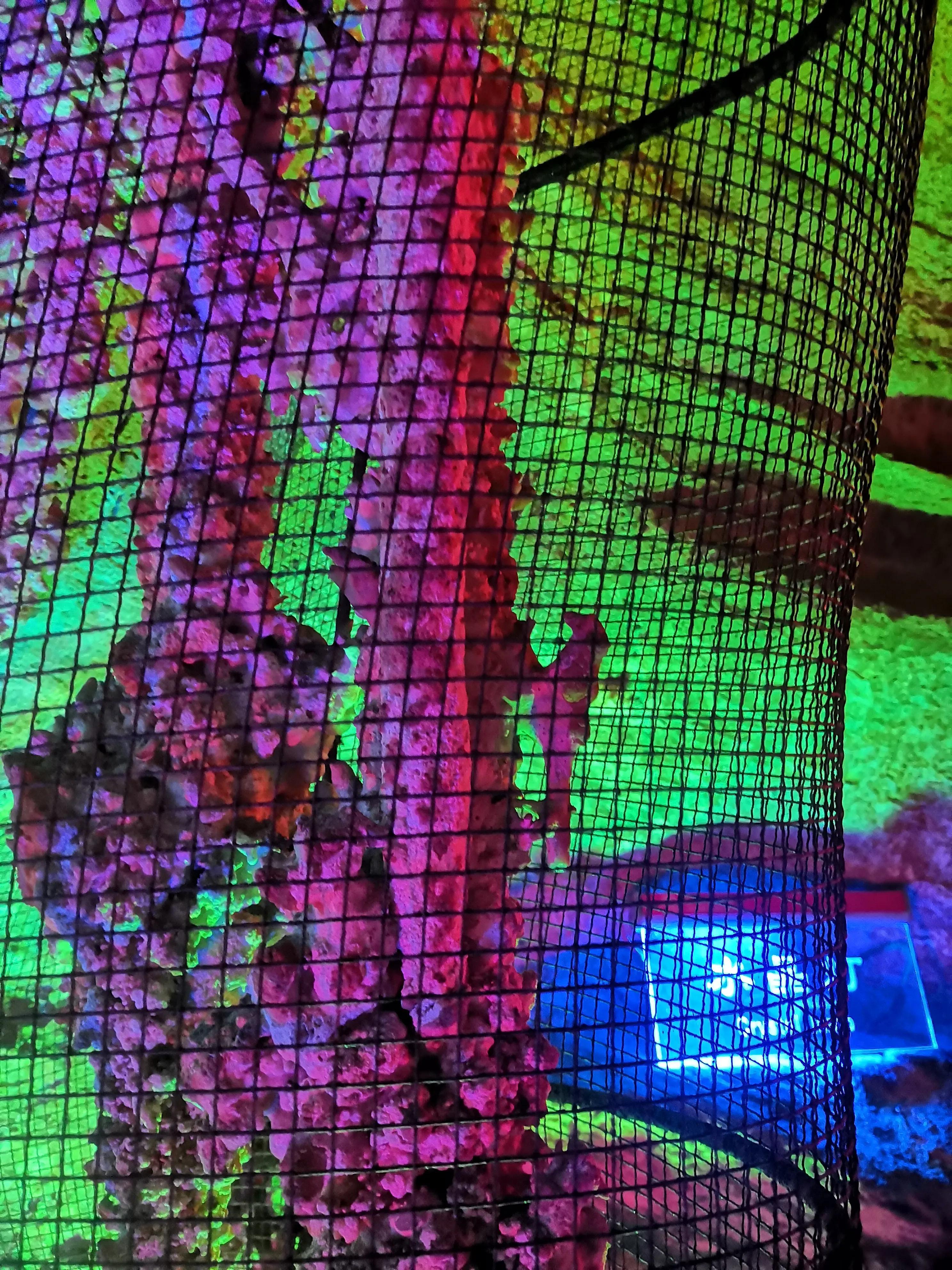 蔺相如故里景点简介,蔺相如邯郸景点