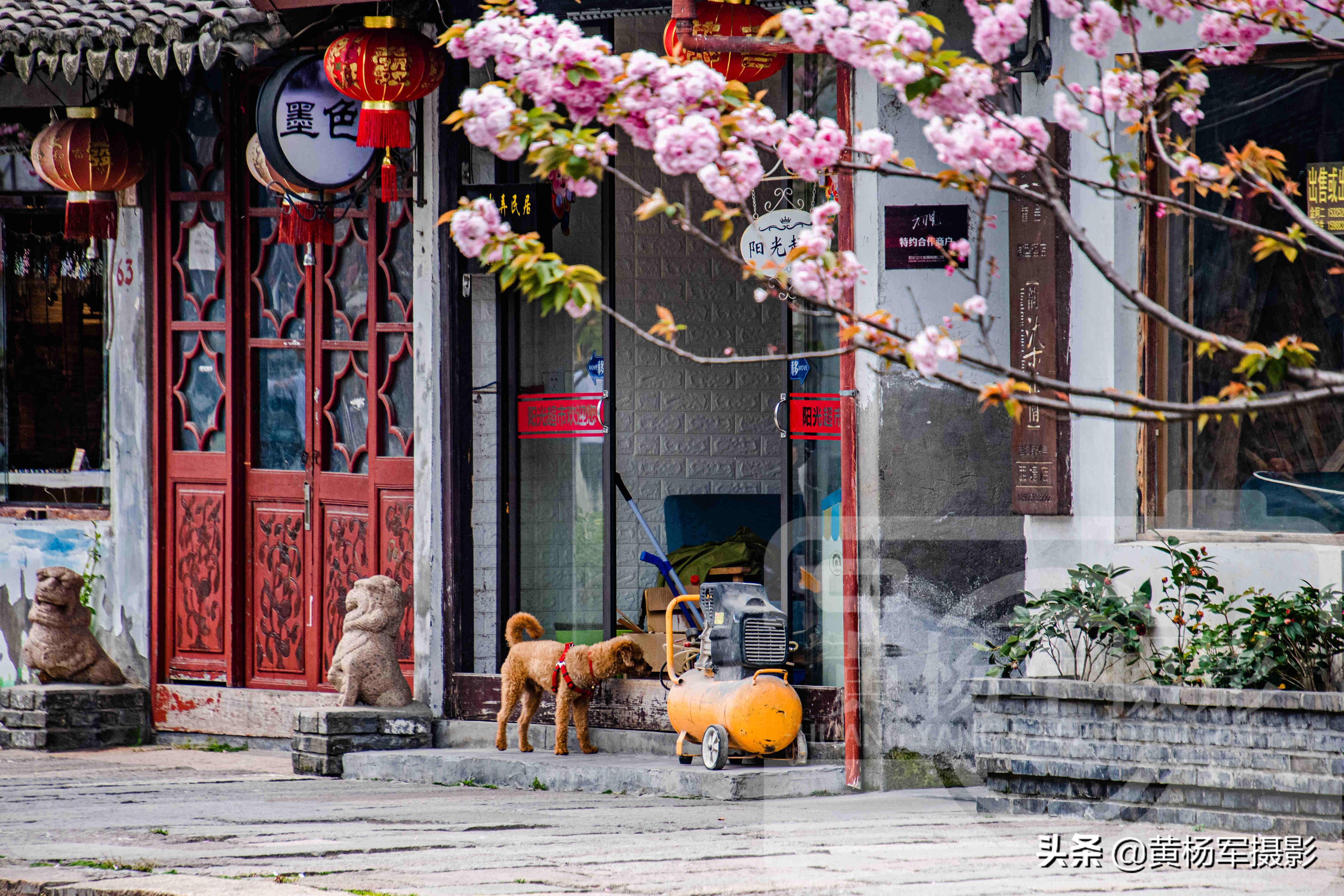 中国著名的丝绸之府是指,中国著名的丝绸之府是