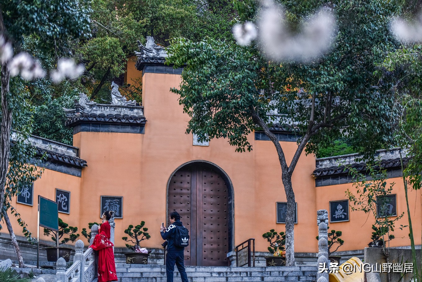 最美南京鸡鸣寺,春天南京鸡鸣寺樱花