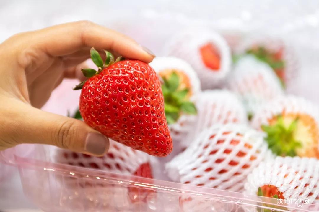 2022年的宝藏年货,2020值得入手的新年礼物