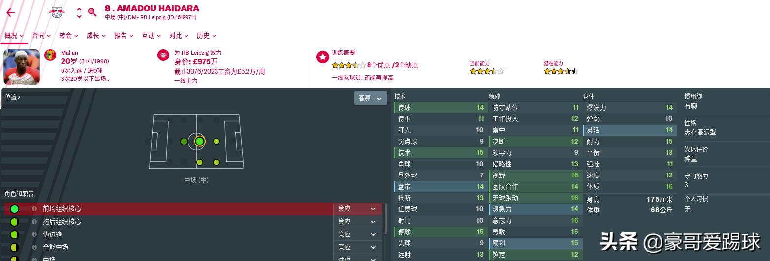 fm2019足球经理苹果手机版,fm足球经理球员数据解读