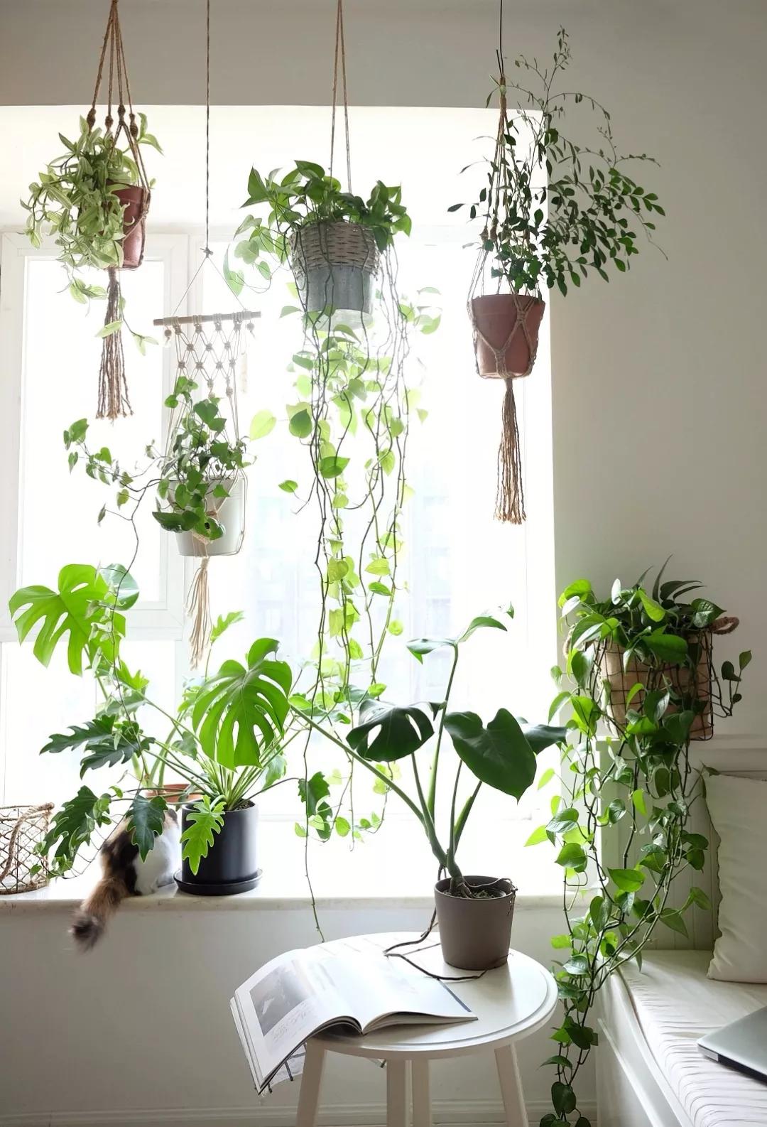 56岁阿姨独居2层别墅，不结婚不生娃，靠另类日式风圈粉无数人