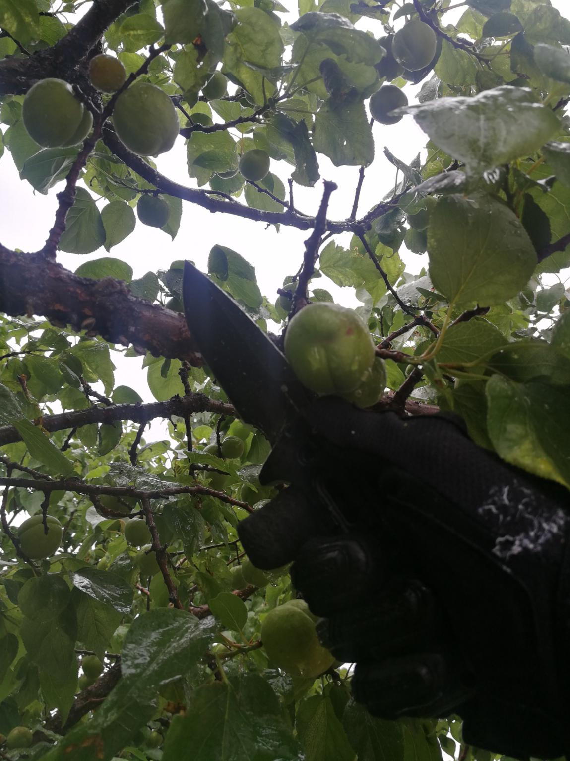 汉道洛克d2评测,汉道洛克xd2怎么样