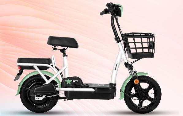 十大最好的电动车品牌排名前十,电动车排行榜前十名值得入手