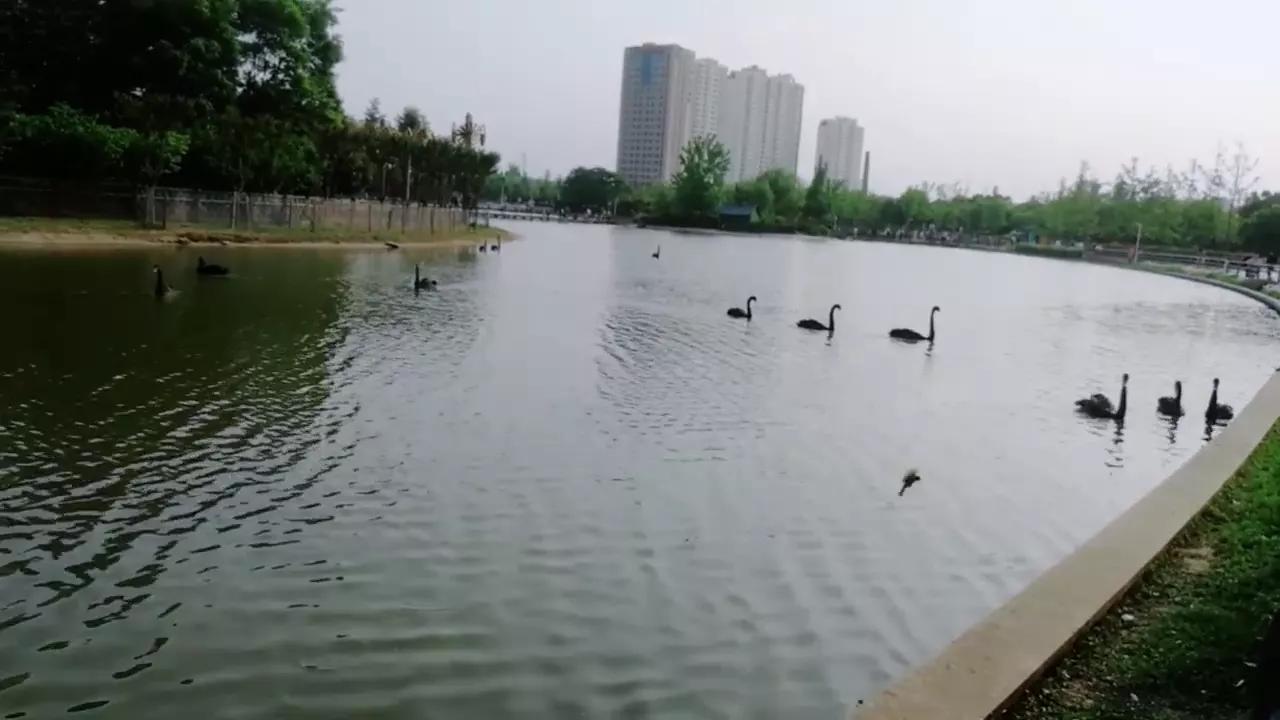 在身体还允许走动时，去看看小姨