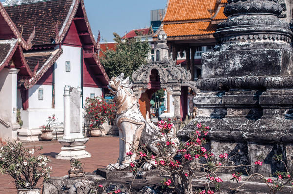 去清迈度假享受片刻的宁静,12月的清迈