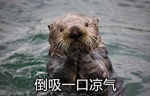 微信兑外汇稳赚不亏？女子“投资”了20余万元！