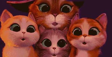 深航随心飞2022还有吗,海航4999随心飞划算吗