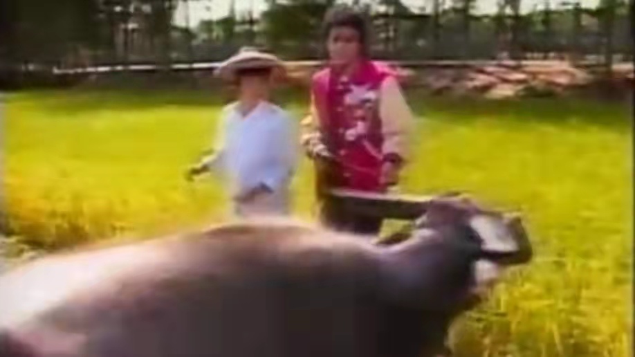 中山迈克尔杰克逊,迈克尔杰克逊跟中山老太太合影