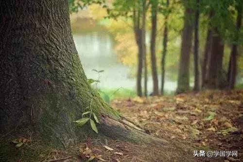 听书荡气回肠的诗词,十首堪称神转折的经典诗词