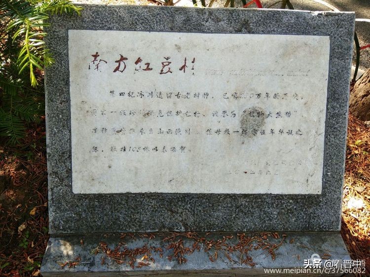 山西农大美丽的校园,山西农大校园风光
