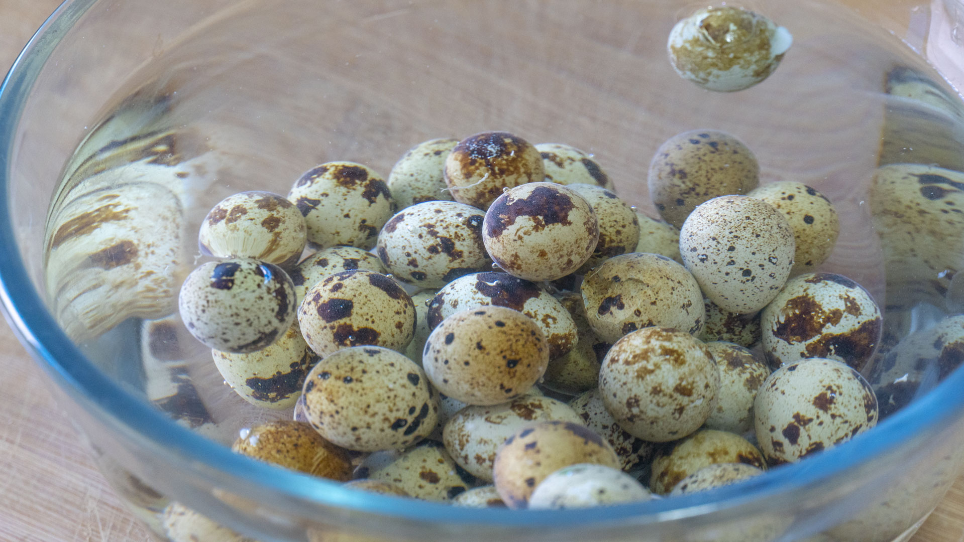 冬季12道滋补炖菜冬天食补不重样,适合冬天吃的炖菜南方