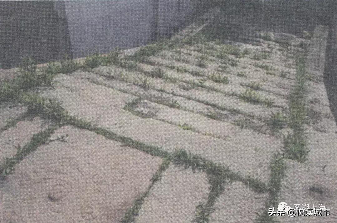 悦读城市浦东,悦读城市上海