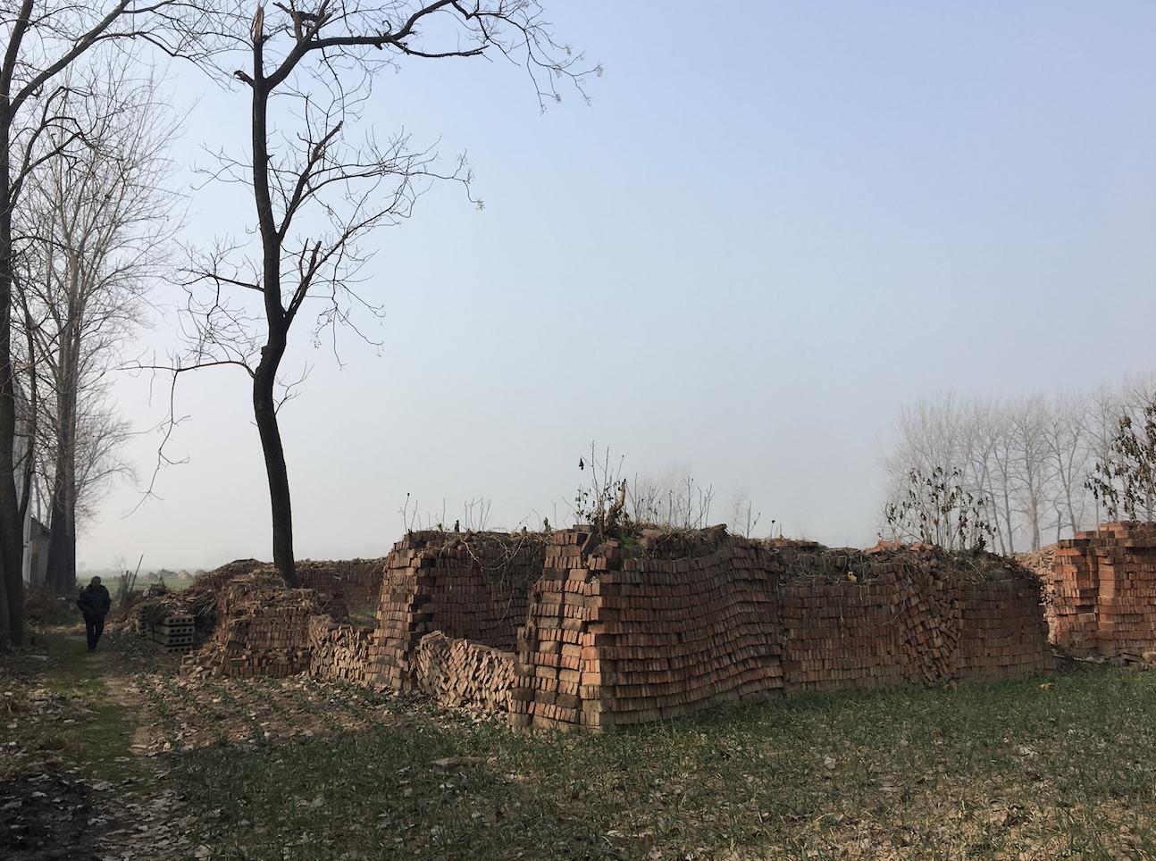 河南杀死堂嫂案件进展,河南少年杀死堂妹